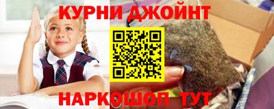 прущие грибы Краснознаменск
