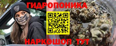 прущие грибы Краснознаменск