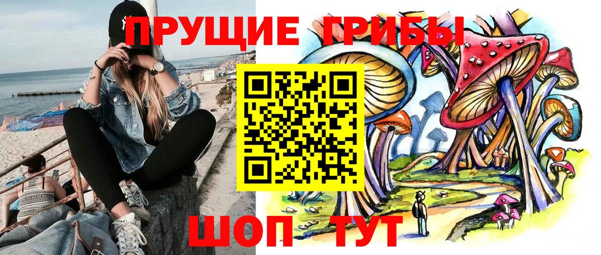 закладка  Светлоград  Псилоцибиновые грибы Psilocybe  Галлюциногенные грибы GOLDEN TEACHER 