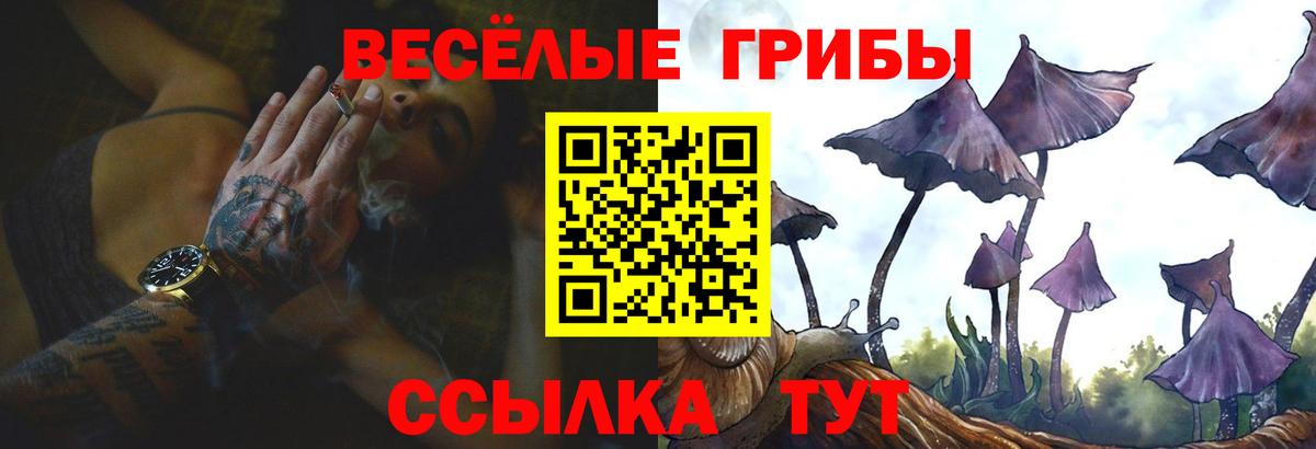 Псилоцибиновые грибы MAGIC MUSHROOMS  Галлюциногенные грибы MAGIC MUSHROOMS  Вход с VPN  Светлоград 